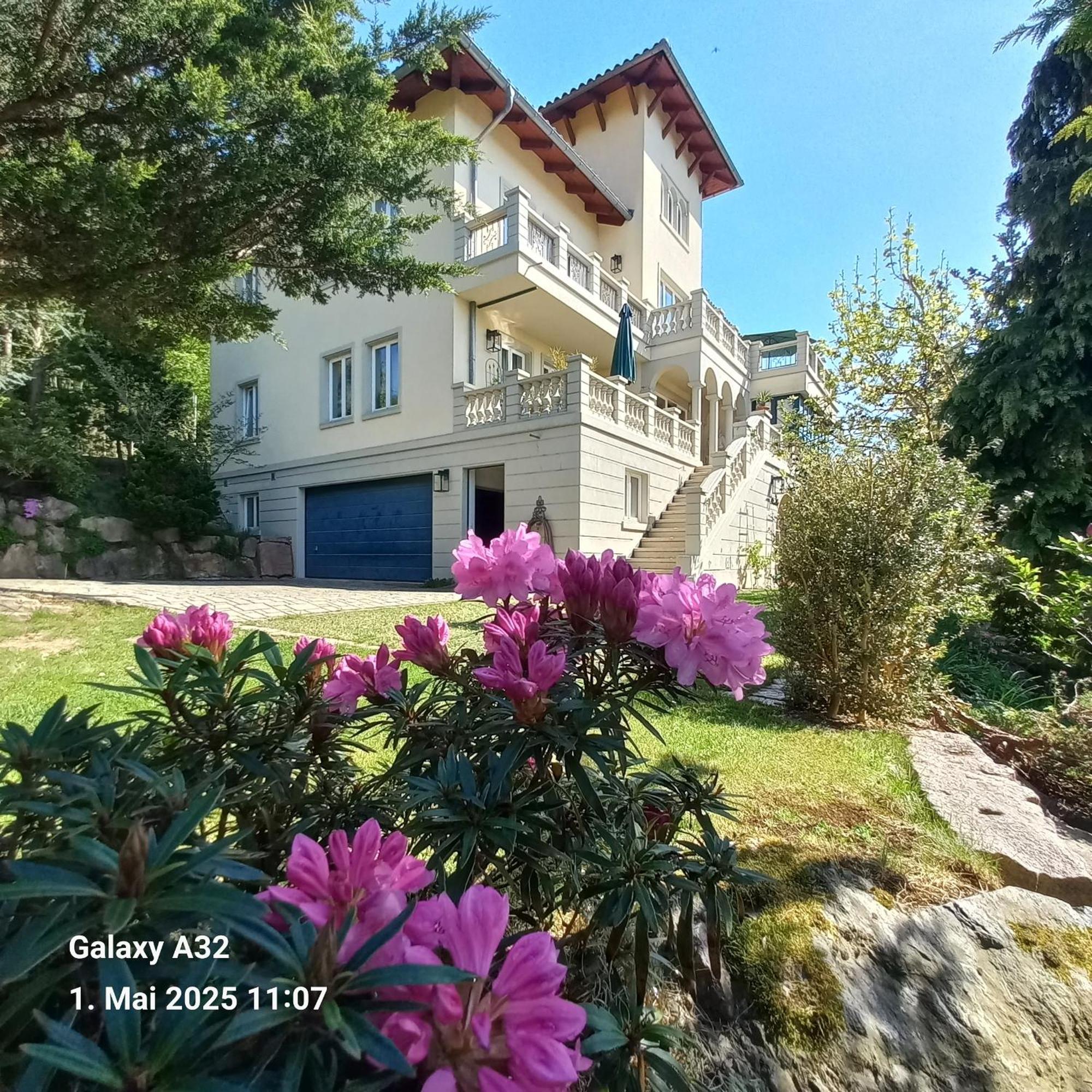 Ferienwohnung Dennstedt Wilkau-Hasslau Esterno foto